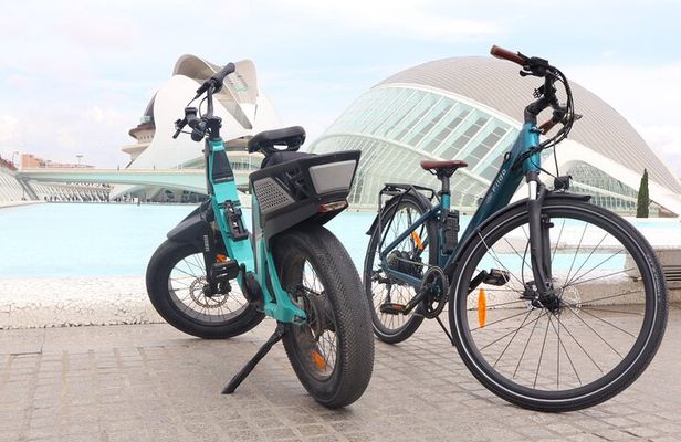 Valencia all in one: beaches, old town & city arts by E-bike