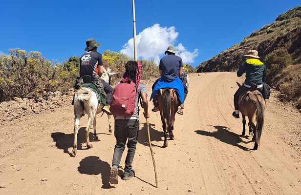 3 Day Trekking Tour to Simien Mountains