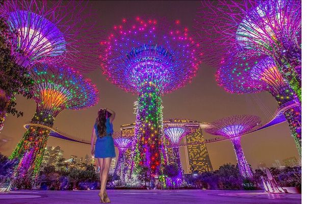 Singapore: River Cruise, 2 Spectra & Garden Rhapsody Light Shows