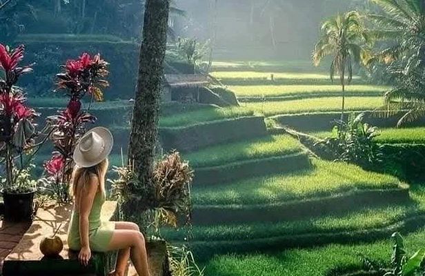 Best of Ubud Sightseeing Private All Inclusive Tour