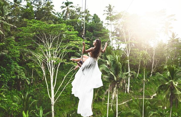Ubud Private Tour: Monkey Forest, Waterfall & Rice Terrace Swing
