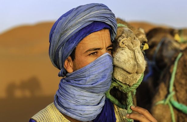 Marrakech: Agafay Desert Camel Ride And Atlas Mountains Hike