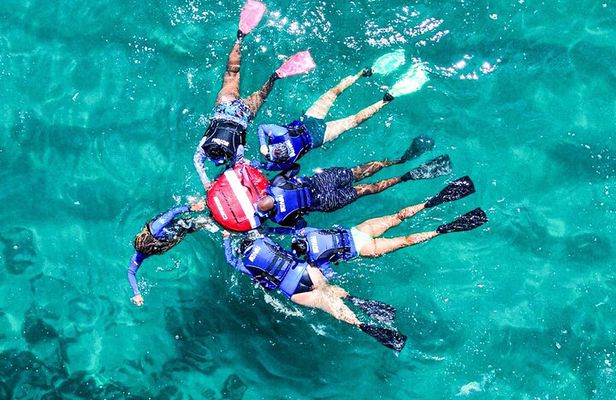 Snorkel Dive with Turtles