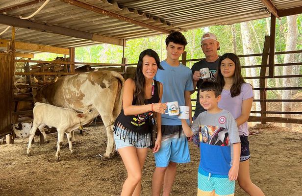 Hands-on Mexican Farm Experience: from Cow to Cheese