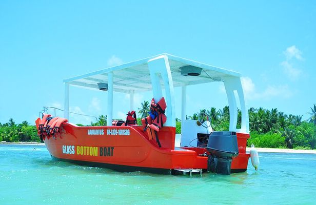 Glass-bottom boat tour to Punta Cana