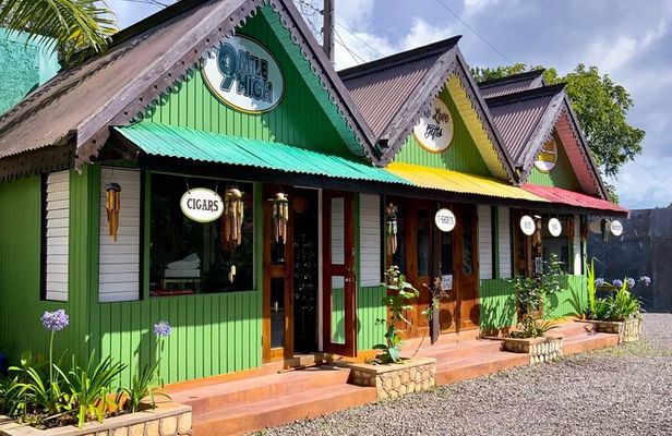 Bob Marley's Nine Mile Guided Full Day Tour from Montego Bay