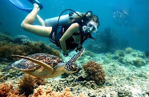 Snorkeling and Diving in Cham Islands from Da Nang or Hoi An