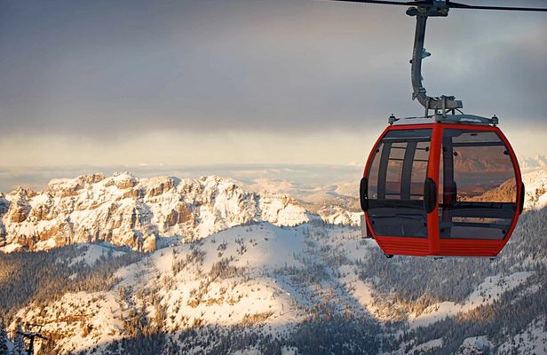 Mt. Rainier tour with Gandola ride at Sunrise and Paradise