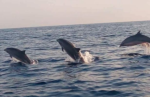 Bali and Lovina with Sunrise Dolphin Tour and Snorkeling