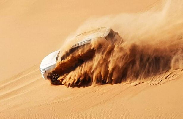 Dubai Desert Escape: Red Dunes Safari, Falcon, Camel & BBQ Dinner