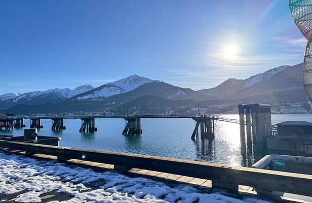Juneau Top Sight Seeing Group Tour