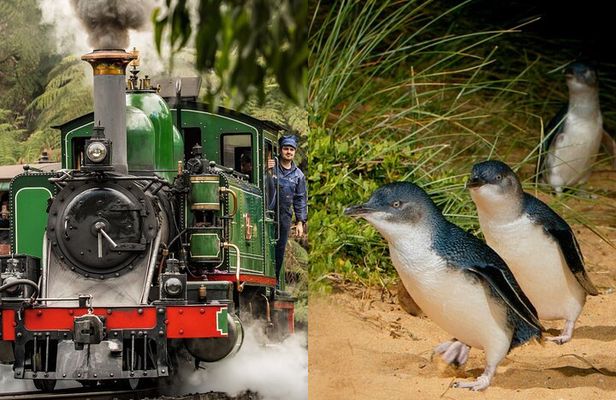 Puffing Billy Tour and Penguin Parade from Melbourne