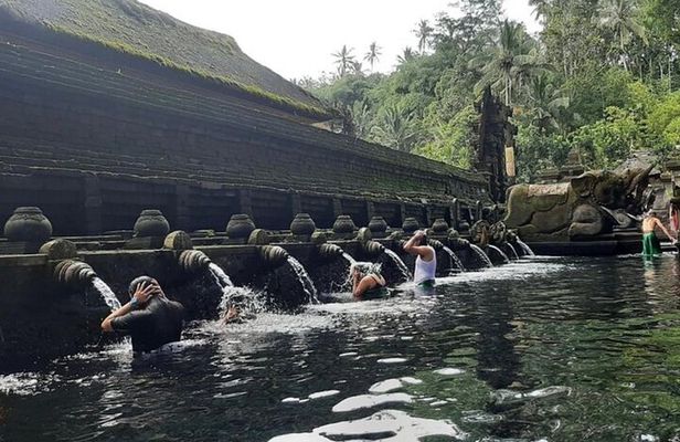 From Ubud: Waterfall, Water temple & rice terrace private tour