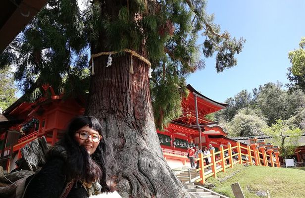 Private Full-Day Nara Tour Hozanji Temple Cable Car and Nara Park