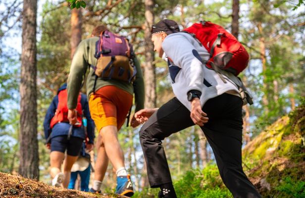 Forest Hike with Guide & Husky + Cabin Snack Break