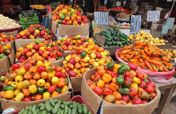 Tours of Ceviche + Pisco Souer
