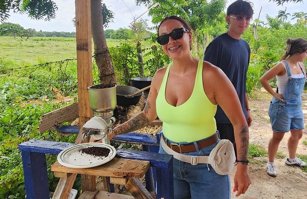 Buggy, horse and plantation ranch