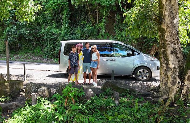 Explore Tahiti in depth in a day