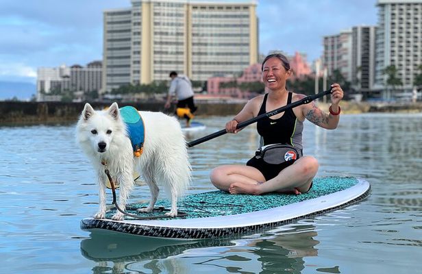 Paddle board Ala Moana with Rescue Dogs
