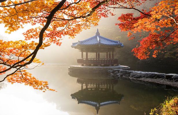 Naejangsan National Park Autumn Foliage One Day Tour from Seoul
