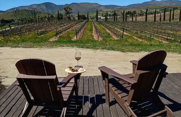 From the Border Valle de Guadalupe Private Wine Tour