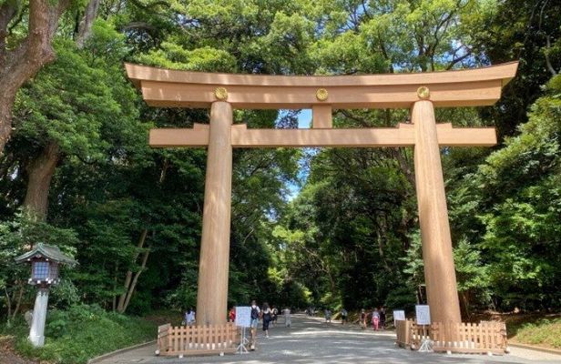 Tokyo Pop Culture & Tradition Tour: Meiji Shrine to Harajuku