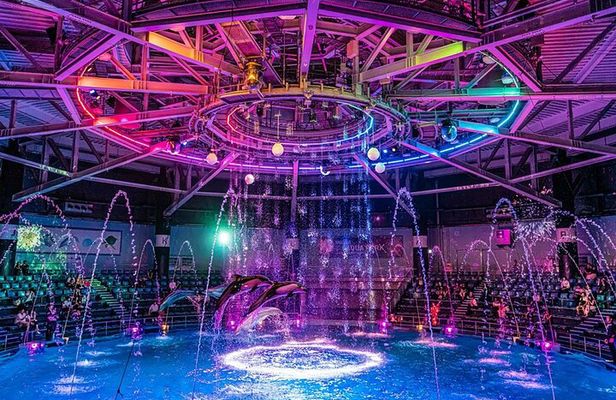 Tokyo Night E-Bike Tour with Tokyo Tower and Dolphin Show