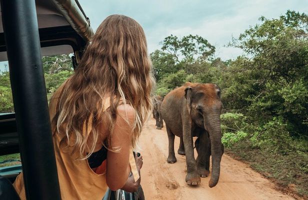 Ella to Mirissa Shuttle & Udawalawe national Safari
