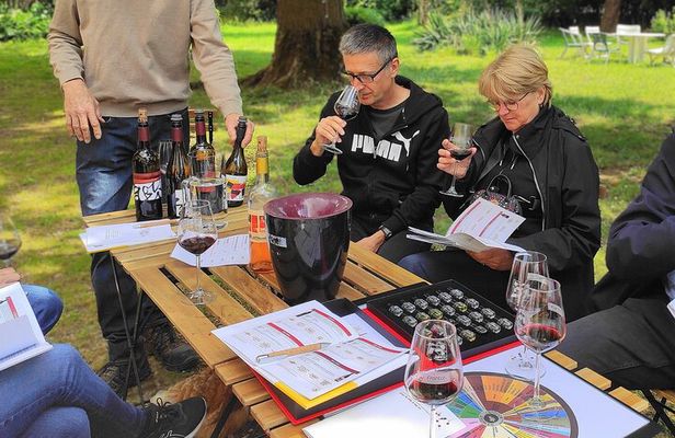 Fronton Small Group Wine Tour from Toulouse