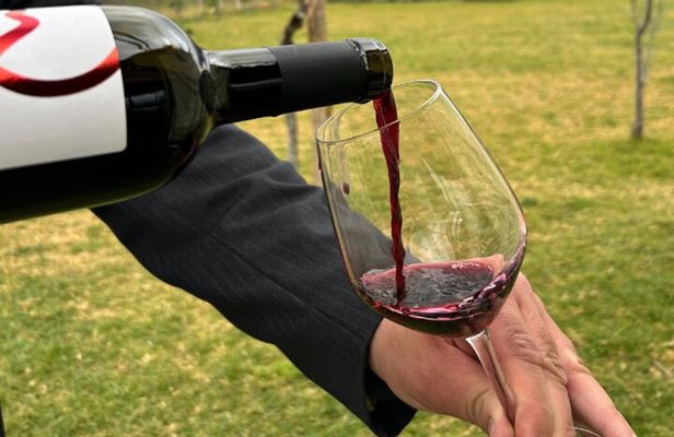 Superior Wine Tasting with Lunch on the slopes of Mt. Vesuvius