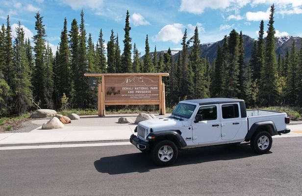 Denali Self-Drive Jeep Adventure – Explore at Your Own Pace