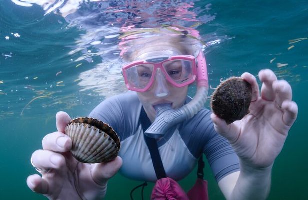 Scallop Hunt with In-Water Guide Crystal River