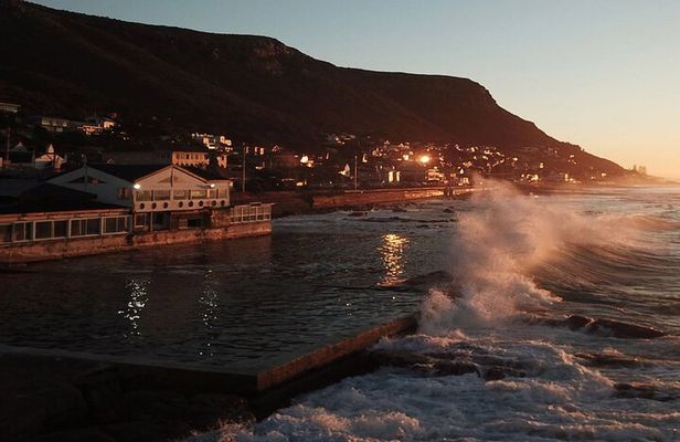 Cape Peninsula Drive with Lunch and Penguin Viewing