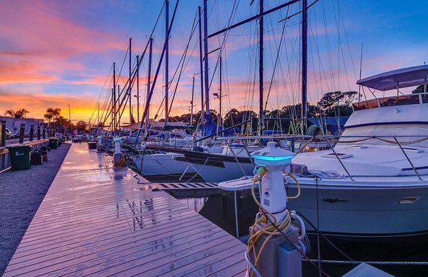 Bioluminescence Night Craigcat Tours