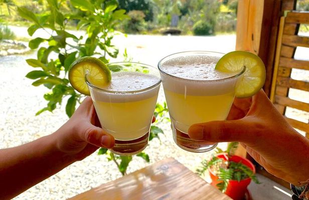 4-hour Chilean Cooking Class in Santiago