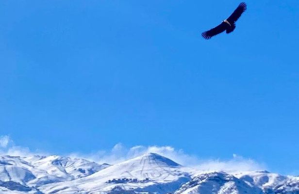 Andes Mountains Tour From Santiago with Appetizer