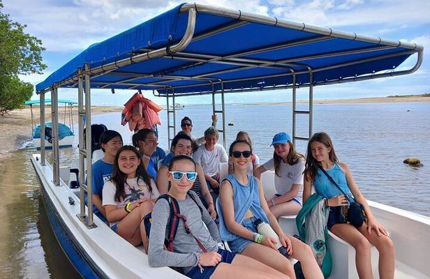 Mangrove Boat Tour in Tamarindo