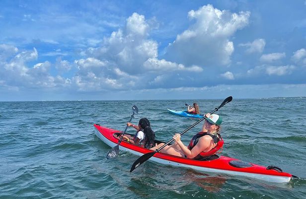 Pensacola Beach Kayak Tour