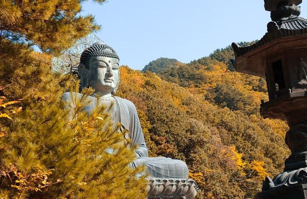 Mt. Seoraksan National Park Autumn Foliage Day Tour from Seoul
