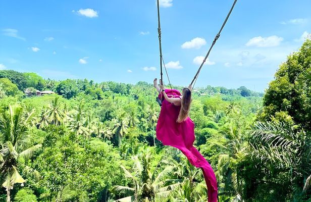 Bali Taman Grya Beji Waterfall and Jungle Swing Private Tour