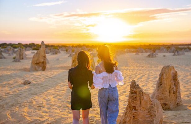 Pinnacles Desert Lobster Tour from Perth