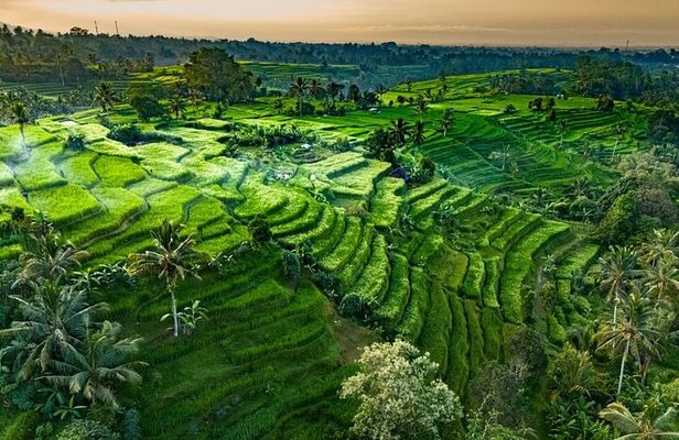 Private Tour of Bali’s Temples, Rice Terraces & Villages