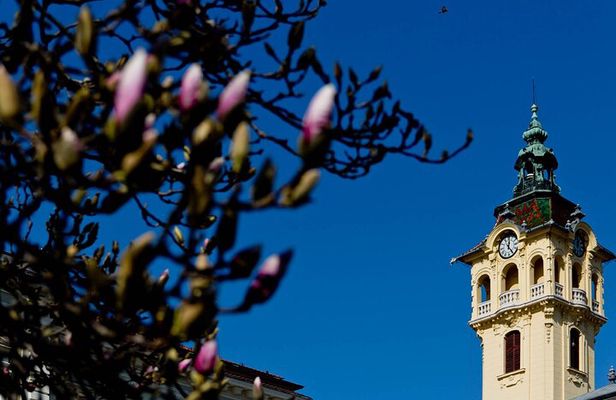 City Walks in Szeged