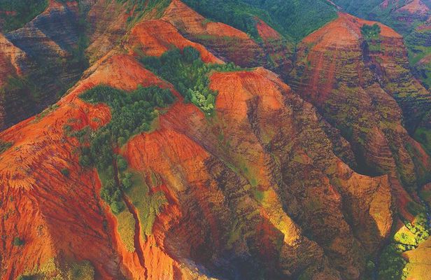 Day Trip from Oahu to Kauai: Waimea Canyon & Koke'e Tour