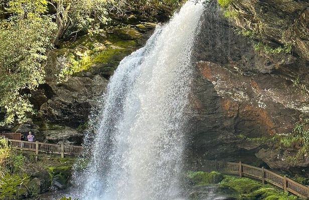 Rainforests and Waterfalls of Western NC
