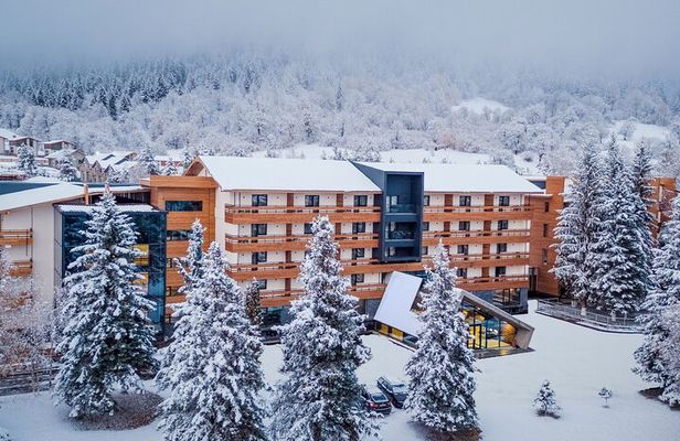 Bakuriani and Borjomi Winter Wonderland Group Tour