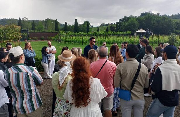 Chianti Half Day Wine Tasting Tour from Siena