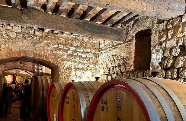 Chianti Half Day Wine Tasting Tour from Siena