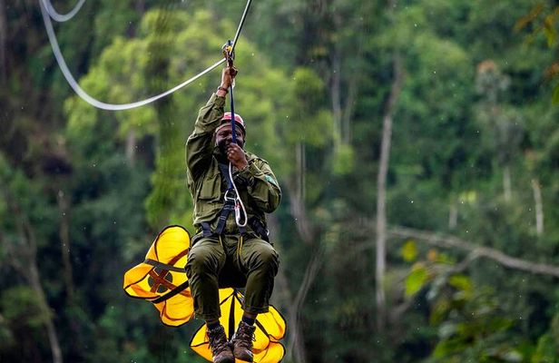 Zipline and Canopy Adventure in Nyungwe Forest National Park