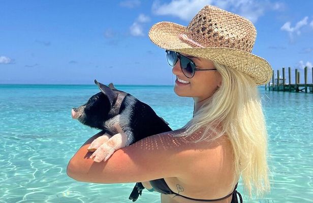 Rose Island Swimming Pigs & Beach Snorkeling Experience Nassau.